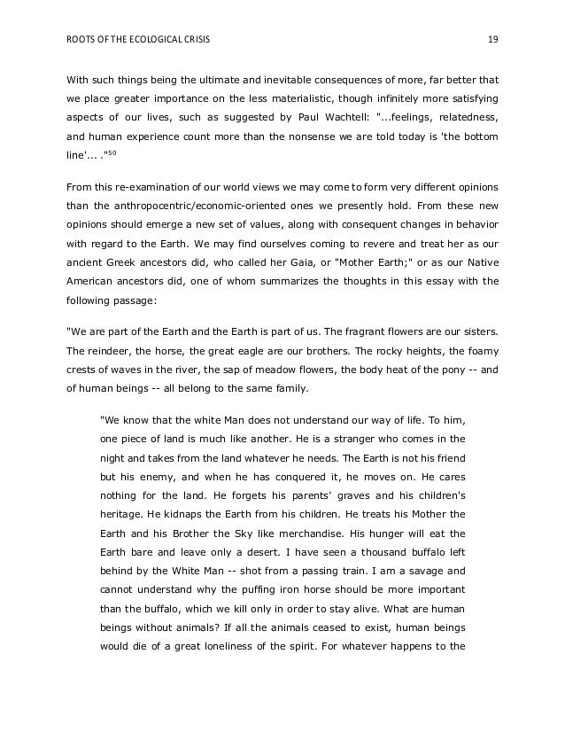 effects of environmental crisis environmental crisis essay pdf
